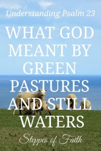 Understanding Psalm 23: What God Meant by Green Pastures and Still Waters by Steppes of Faith June 2018