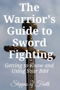 "The Warrior’s Guide to Sword Fighting: Getting to Know and Using Your Bible" by Steppes of Faith