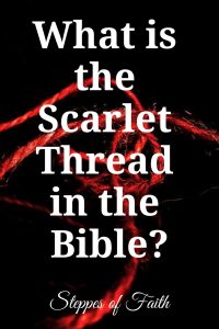 "What is the Scarlet Thread in the Bible?" by Steppes of Faith