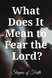 Title: "What Does It Mean to Fear the Lord?" by Steppes of Faith