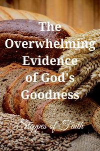 "The Overwhelming Evidence of God's Goodness" by Steppes of Faith