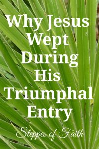 "Why Jesus Wept During His Triumphal Entry" by Steppes of Faith