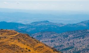 The Israelites defeated King Og in Bashan, modern day Golan Heights.
