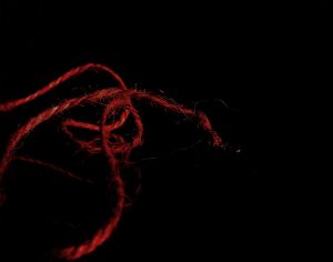 Rahab hung a scarlet rope from her window to indicate to Joshua which house was hers. 
