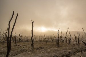 Jesus Himself warns us about the horrible events that will come after the Rapture.
