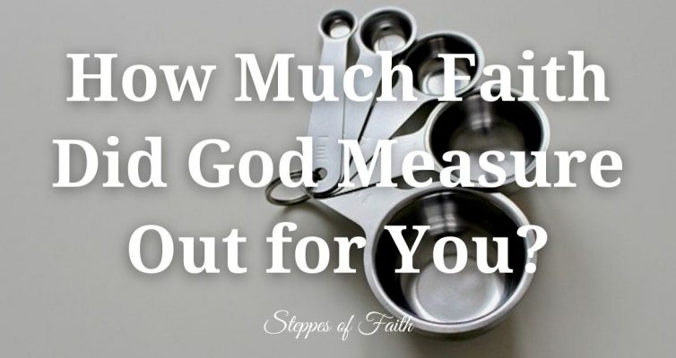 How Much Faith Did God Measure Out for You? by Steppes of Faith