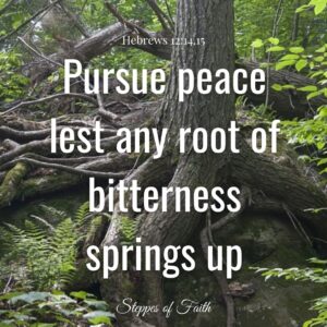 Pursue peace lest any root of bitterness springs up. (Hebrews 12:14-15)