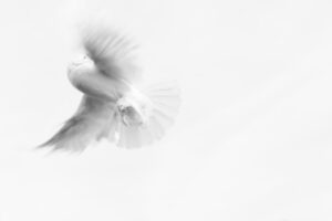 Pentecost is worth celebrating because it is the day the Lord gave us the gift of His Holy Spirit.