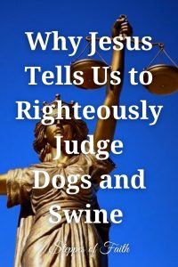 Why Jesus Tells Us to Righteously Judge Dogs and Swine by Steppes of Faith