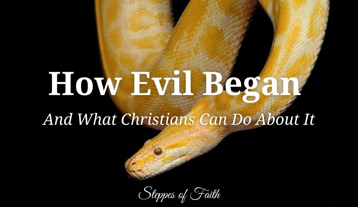 How Evil Began and What Christians Can Do About It