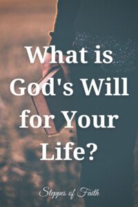 "What is God's Will for Your Life?" by Steppes of Faith