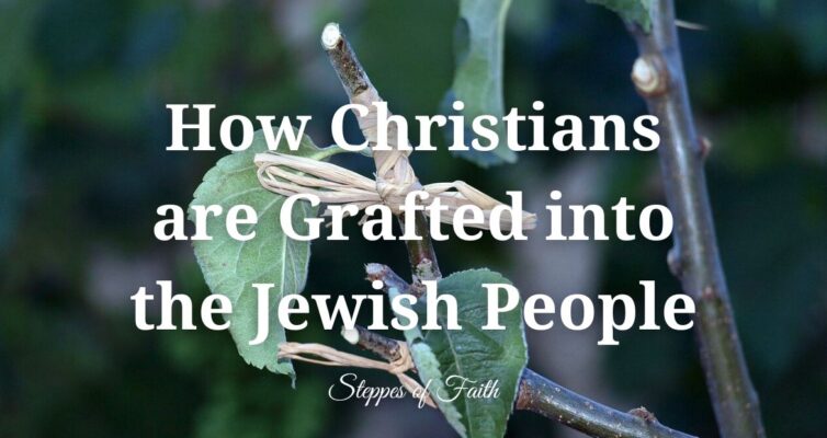 "How Christians are Grafted into the Jewish People" by Steppes of Faith