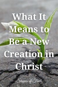 "What It Means to Be a New Creation in Christ" by Steppes of Faith