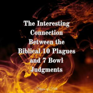 " The Interesting Connection Between the Biblical 10 Plagues and 7 Bowl Judgments " by Steppes of Faith 