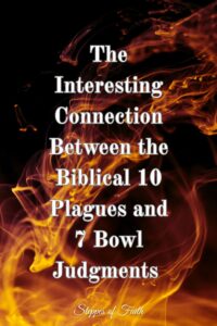 " The Interesting Connection Between the Biblical 10 Plagues and 7 Bowl Judgments " by Steppes of Faith 