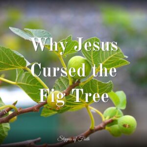 "Why Jesus Cursed the Fig Tree" by Steppes of Faith