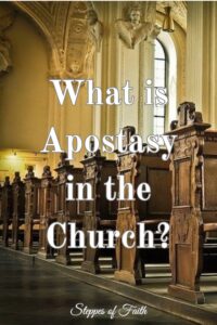 "What is Apostasy in the Church?" by Steppes of Faith